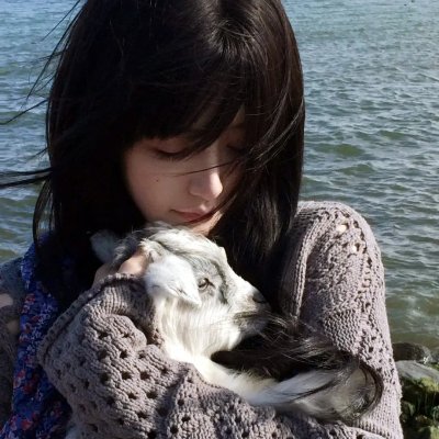 红杏出墙 封面