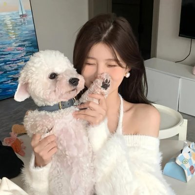 我私人的爱达荷 封面